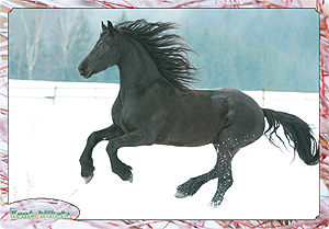 pohled_2010_3